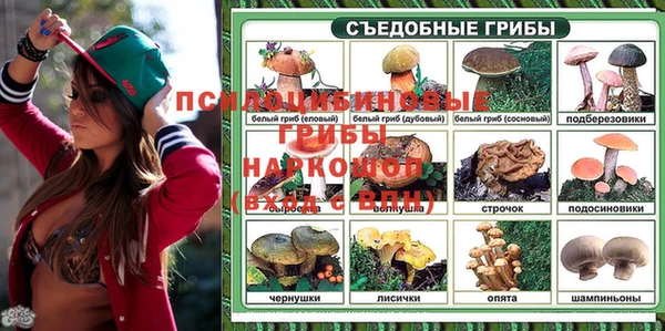дурь Кущёвская