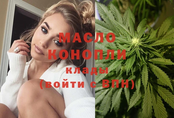 гидра Коряжма