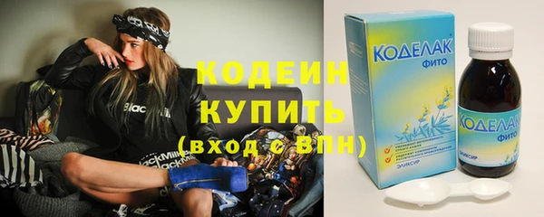 гидра Коряжма