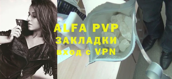 гидра Коряжма