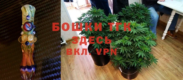 гидра Нестеровская