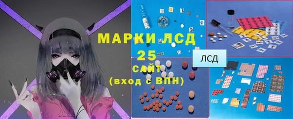 гидра Коряжма