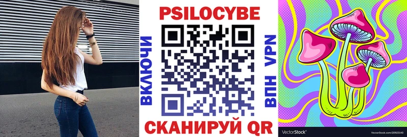 Купить закладки  Лермонтов  Псилоцибиновые грибы Cubensis 